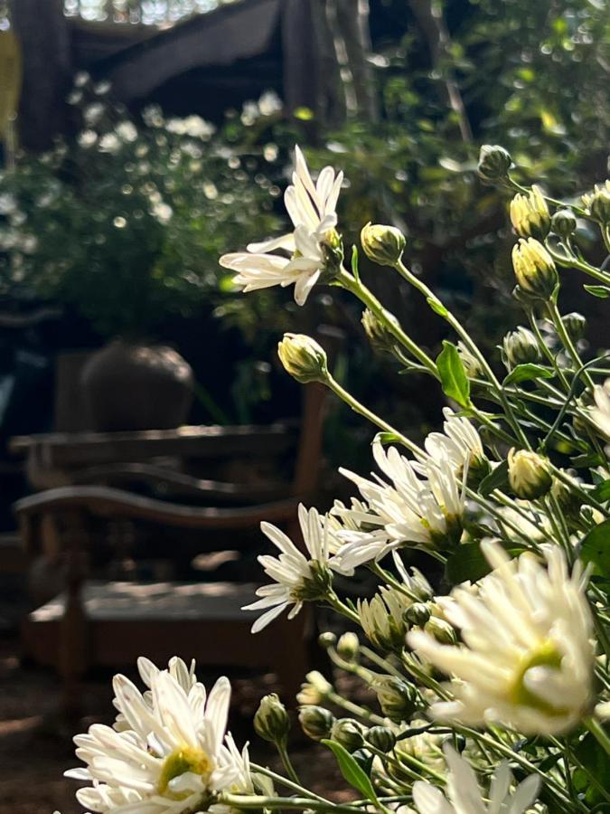 Mo He Apartment Son Tay ภายนอก รูปภาพ