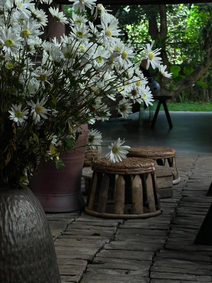 Mo He Apartment Son Tay ภายนอก รูปภาพ